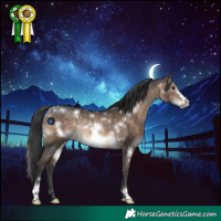 Horse Color:White Spotted Brown Dun Frame Rabicano