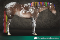 Horse Color:Painted White Spotted Liver Chestnut Mushroom Tobiano 