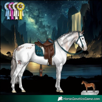 Horse Color:White Spotted Bay Splash Appaloosa