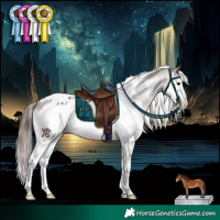 Horse Color:White Spotted Bay Splash Appaloosa