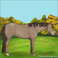 Horse Color:Classic Champagne 