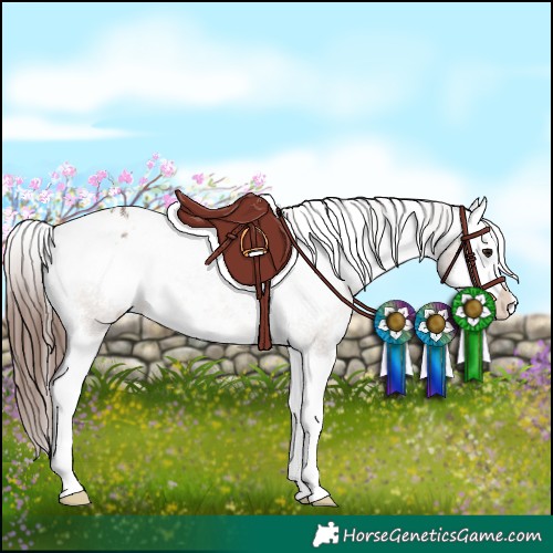 Horse Color:White Spotted Brown Dun Splash Appaloosa Rabicano 