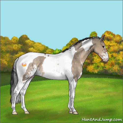 Horse Color:Brown Dun Sabino Tobiano Rabicano 