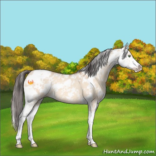 Horse Color:Amber Champagne Dun Sabino 