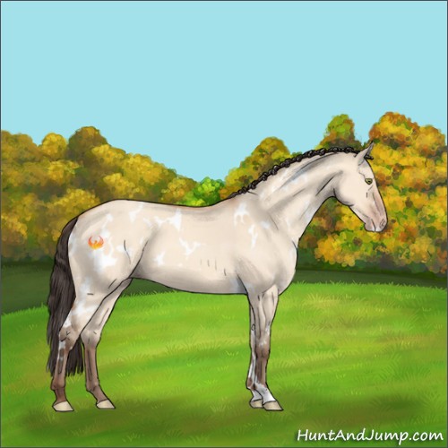 Horse Color:White Spotted Amber Champagne Dun 