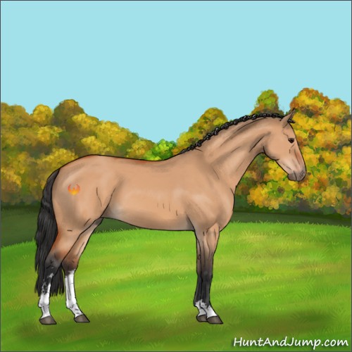 Horse Color:Bay Dun Sabino 