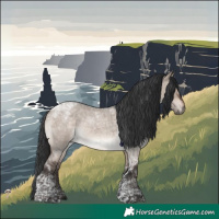 Horse Color:Brown Roan Dun Mushroom Tobiano Rabicano