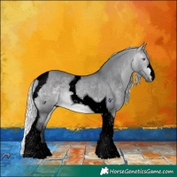 Horse Color:Void Silver Brown Chinchilla Dun Tobiano 