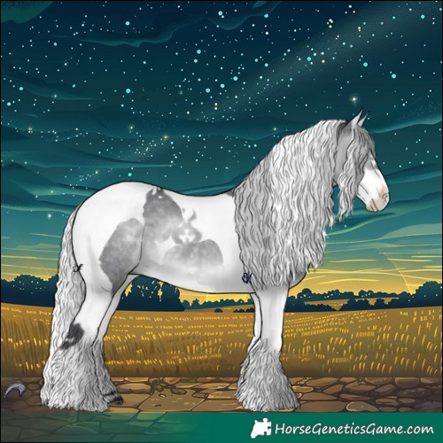 Horse Color:Silver Brown Chinchilla Dun Splash Tobiano 