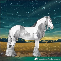 Horse Color:Silver Brown Chinchilla Dun Splash Tobiano 