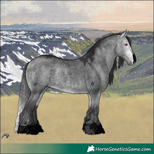 Horse Color:Void Buckskin Chinchilla Roan Dun