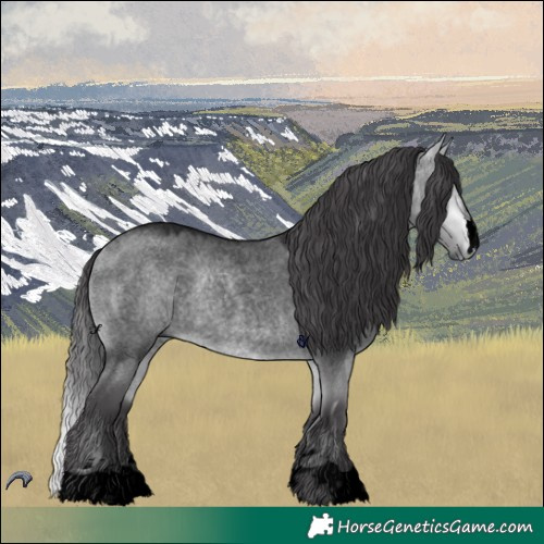 Horse Color:Void Buckskin Chinchilla Roan Dun 