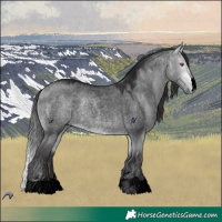 Horse Color:Void Buckskin Chinchilla Roan Dun 