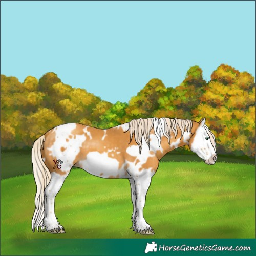 Horse Color:White Spotted Gold Cream Champagne Splash Frame 