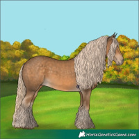 Horse Color:Chocolate Palomino 