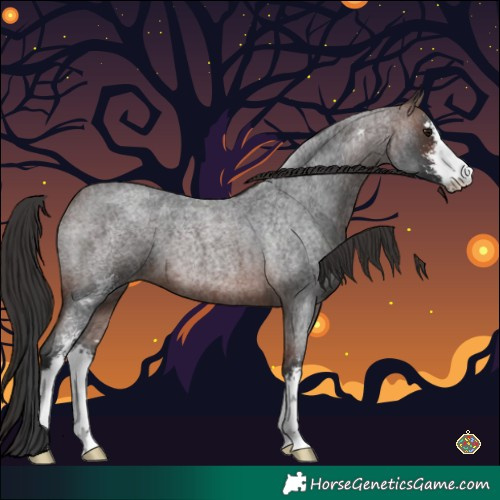 Horse Color:Brown Roan Sabino 