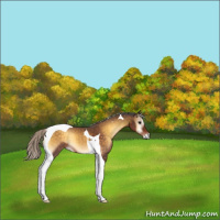 Horse Color:Silver Buckskin Roan Onyx Tobiano 