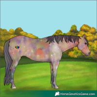 Horse Color:Nacre Bay 