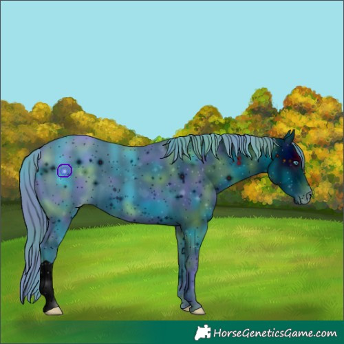 Horse Color:ERROR: UNKNOWN ANOMALY