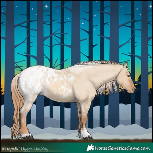 Horse Color:Red Dun Roan Sabino Appaloosa 