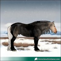 Horse Color:Void Silver Bay Roan Dun Tobiano Rabicano 
