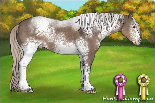 Horse Color:White Spotted Silver Grullo Sabino 