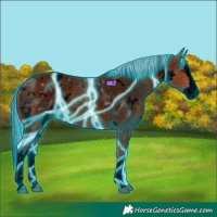 Horse Color:Void Thunderstruck White Spotted Silver Bay Roan Splash Varnish