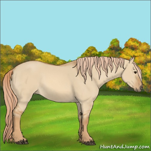 Horse Color:Red Dun 