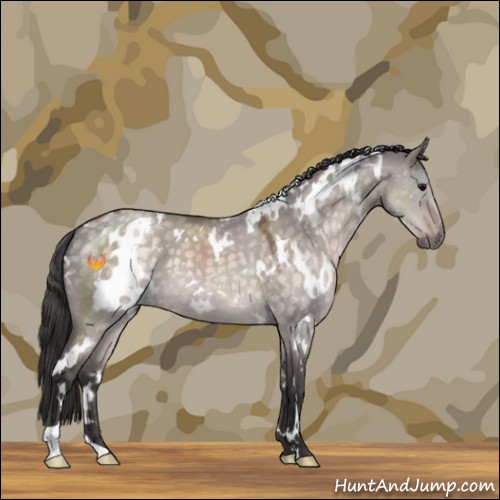 Horse Color:Platinum White Spotted Buckskin Dun