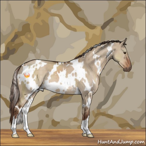 Horse Color:White Spotted Liver Red Dun 