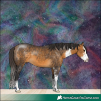 Horse Color:Buckskin Sabino 