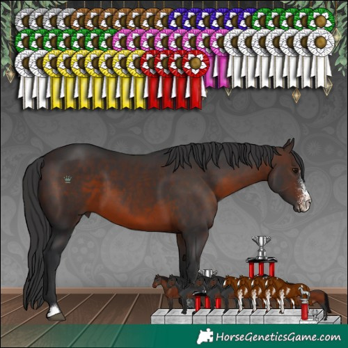 Horse Color:Brown Sabino 