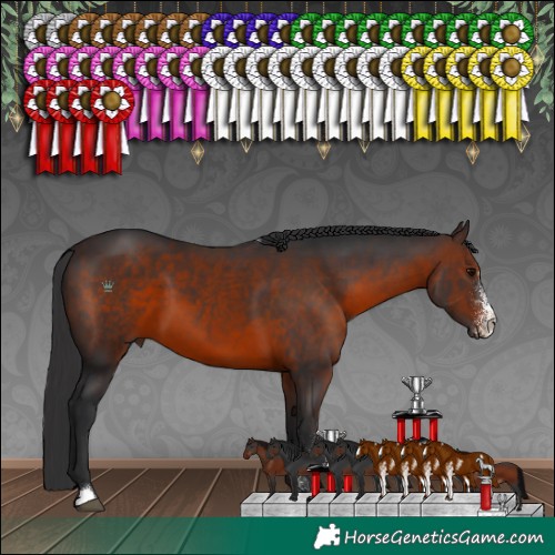 Horse Color:Brown Sabino 