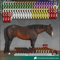 Horse Color:Brown Sabino 
