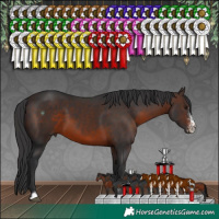 Horse Color:Brown Sabino
