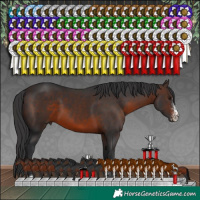Horse Color:Brown Sabino 
