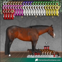 Horse Color:Brown Sabino 