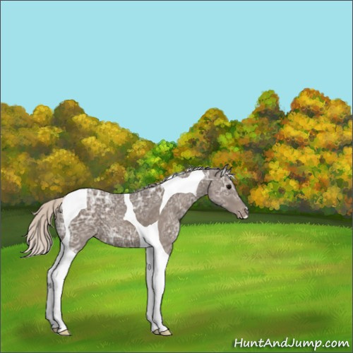 Horse Color:Silver Black Ice Tobiano Varnish 
