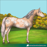 Horse Color:Watercolor Palomino Ice 