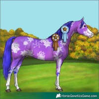 Horse Color:Watercolor Bay Ice 