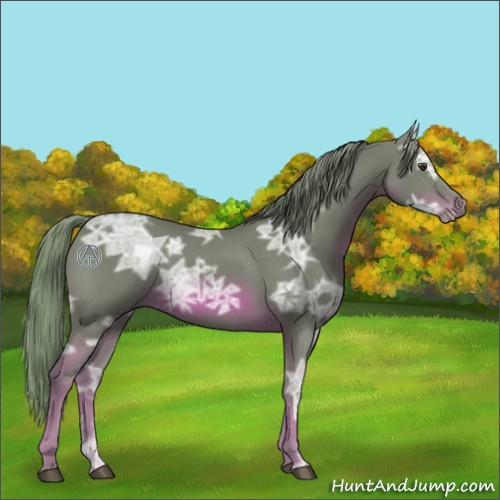 Horse Color:Watercolor Chestnut Ice