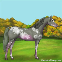 Horse Color:Watercolor Chestnut Ice 