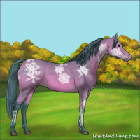 Horse Color:Watercolor Bay Ice 