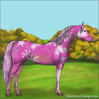Horse Color:Watercolor Chestnut Ice 