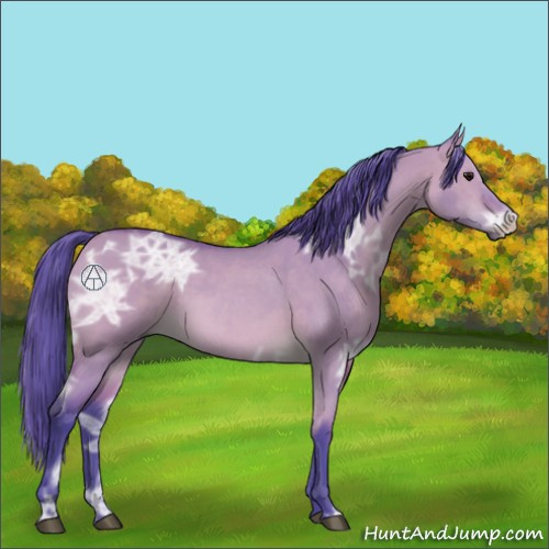 Horse Color:Watercolor Bay Ice Dun 