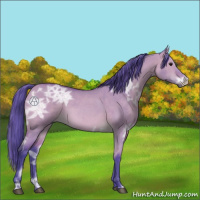 Horse Color:Watercolor Bay Ice Dun 