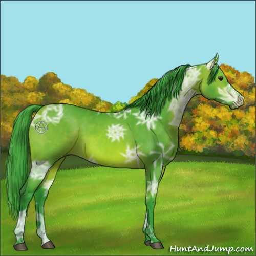 Horse Color:Watercolor Bay Ice 