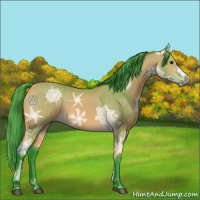 Horse Color:Watercolor Buckskin Ice 