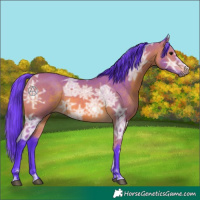 Horse Color:Watercolor Bay Ice 