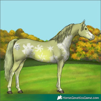 Horse Color:Watercolor Chestnut Ice 